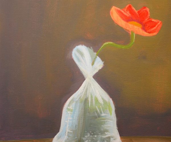 Announcing CIYJ’s 2025 Annual Report